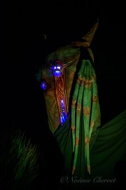 Hydre_Obscur_2025_Noemie_0224