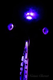 Hydre_Obscur_2025_Noemie_0225